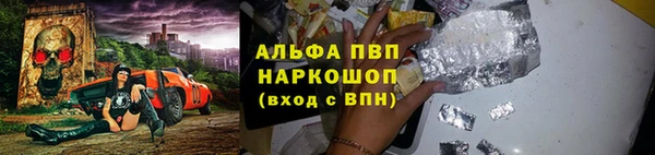 гидра Белокуриха