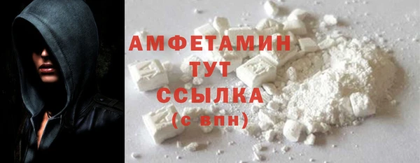 гидра Белокуриха
