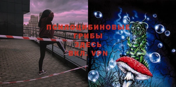 дмт Белоозёрский