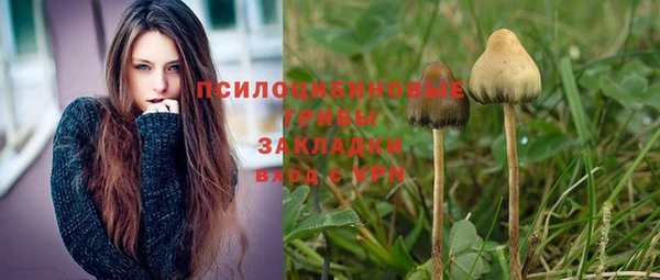 гидра Белокуриха
